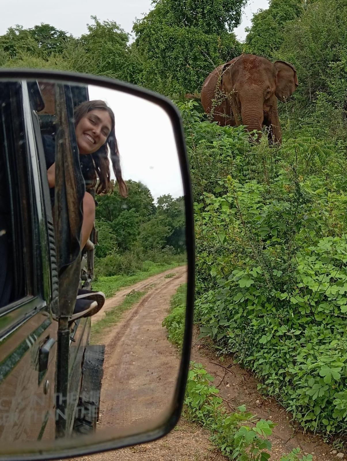 White Rose Safari Home Stay Udawalawe Esterno foto
