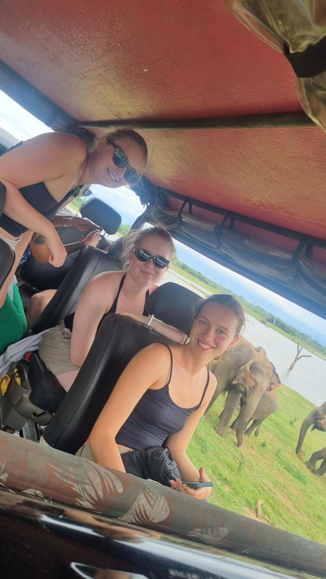 White Rose Safari Home Stay Udawalawe Esterno foto