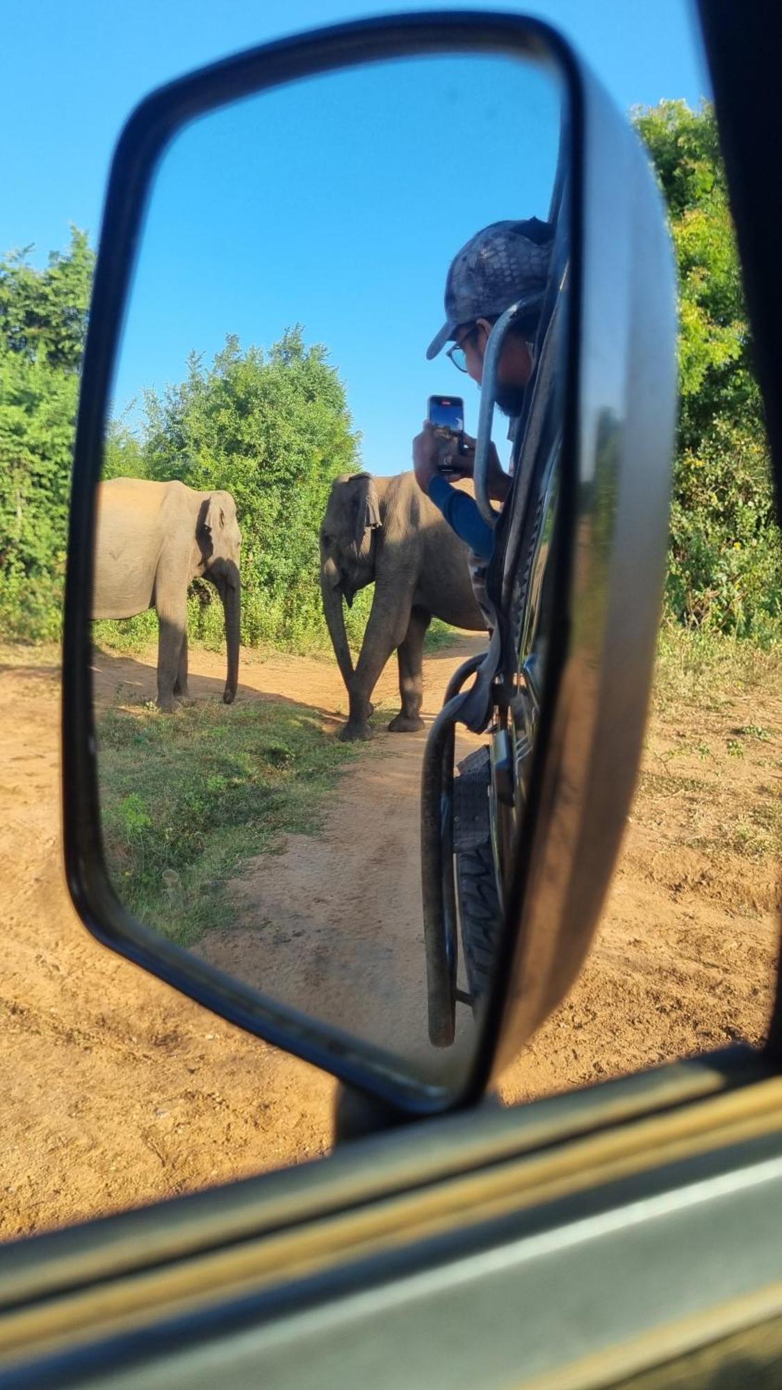 White Rose Safari Home Stay Udawalawe Esterno foto